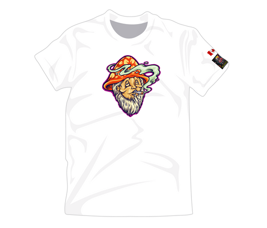 Garden Gnome #118 by the Artist Charlie Halpin